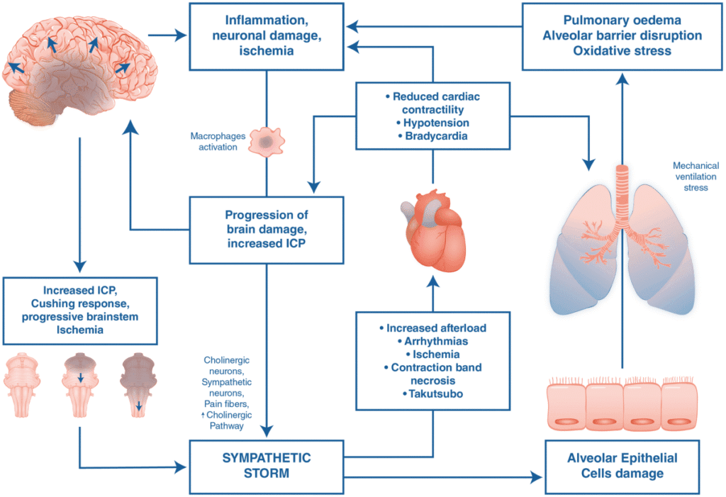 134 2019 5551 fig1 html
